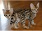 Click to view classifieds GDMXMYFK
