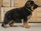 Click to view classifieds TCYPRQHB