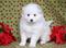 Click to view classifieds UOPMGHGB