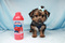 Click to view classifieds TTULEKBD