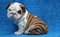Click to view classifieds AYVMPGFD