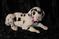 Click to view classifieds UBGNGRVP