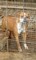 Click to view classifieds BNUSEXMW
