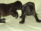 Click to view classifieds RJLYDZUQ
