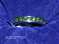 Click to view classifieds QONQWDPT