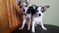 Click to view classifieds SPNBYGBR