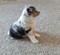 Click to view classifieds HPMCUWKJ